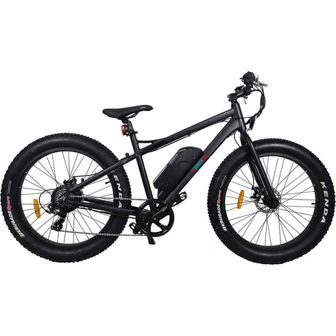 Burch Electric Mountain Bike Eagle